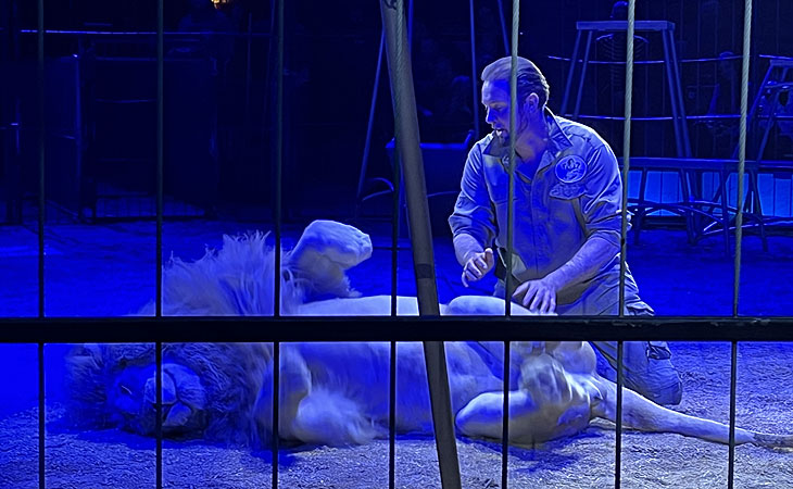 Circus Krone: öffentliche, kommentierte Raubtierprobe mit Martin Lacey jr. am 04.03.2023 (©Foto: Martin Schmitz)
